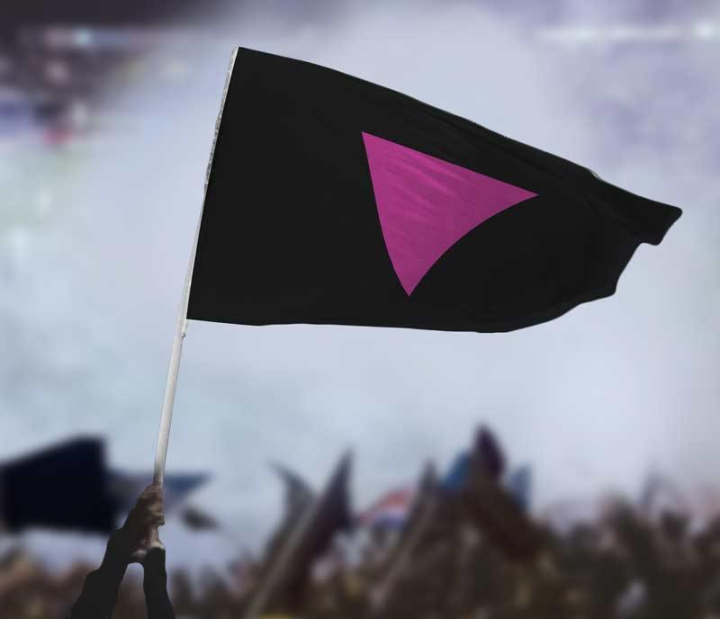 Pink Triangle LGBT Pride Flag