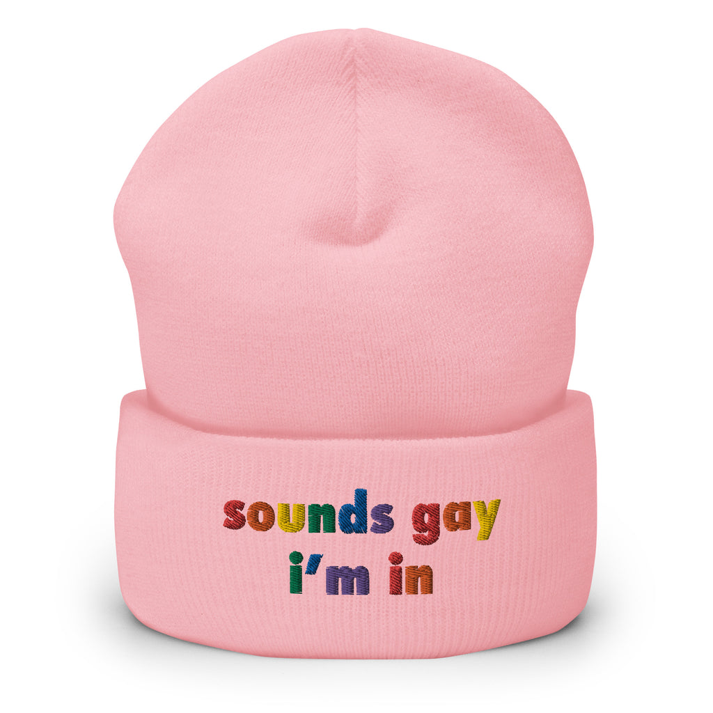 Sounds Gay I'm In Embroidered Cuffed Beanie