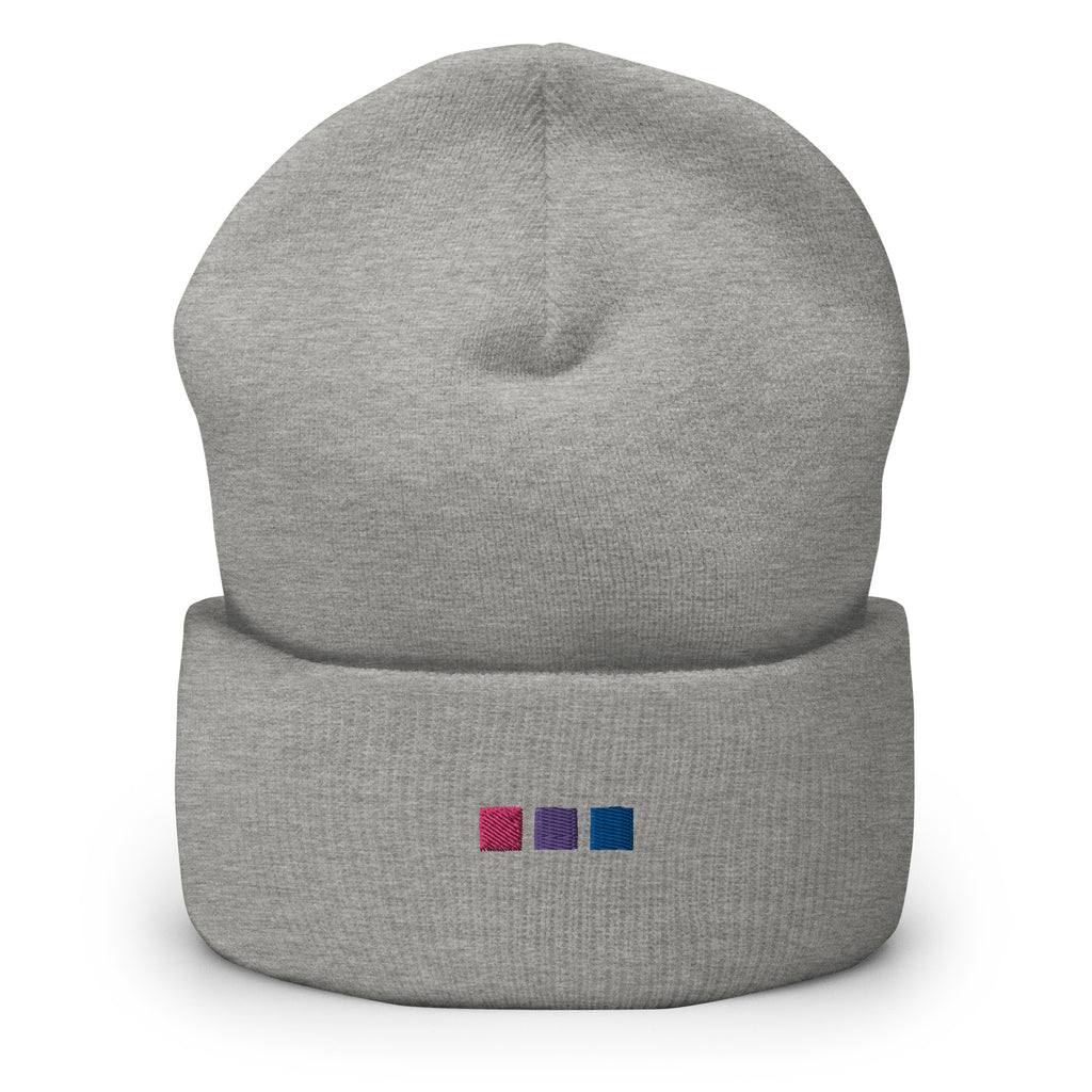 Bisexual Squares Embroidered Cuffed Beanie