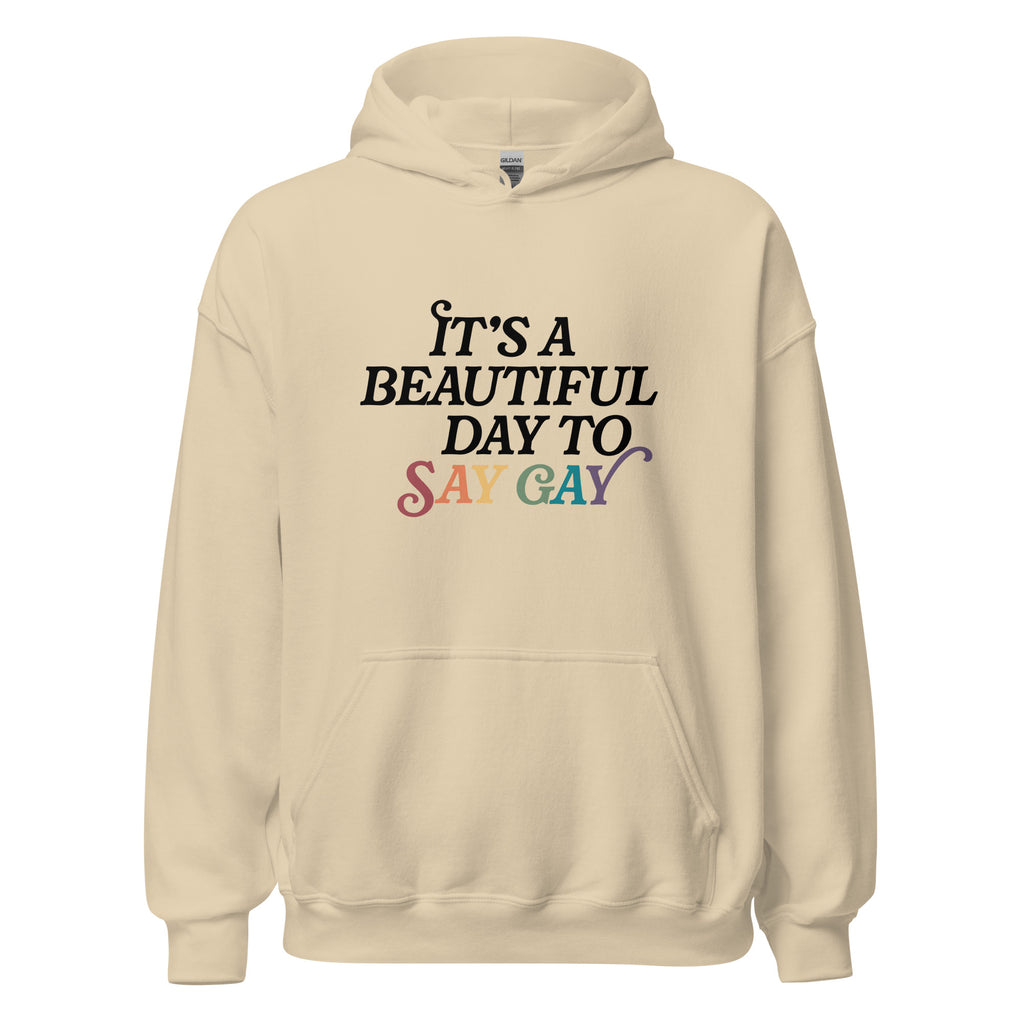 It's A Beautiful Day To Say Gay Unisex Hoodie